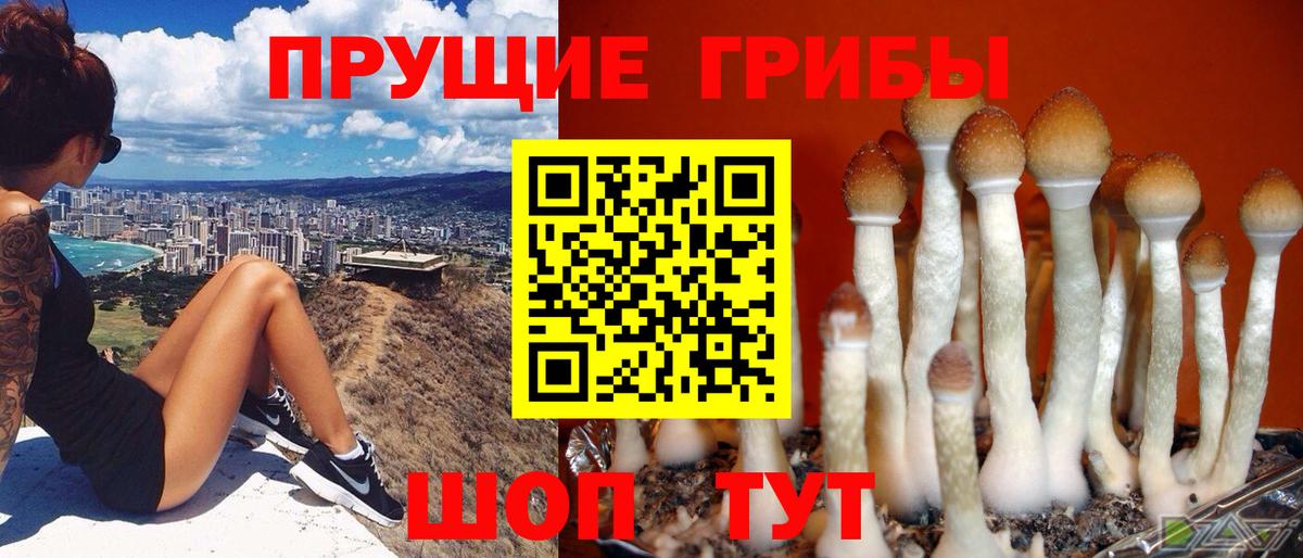 Рославль  закладки  Вход с VPN  Галлюциногенные грибы Psilocybe 